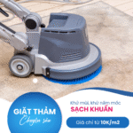 [Giá Tốt] Giặt Thảm Văn Phòng Từ 7K/m2