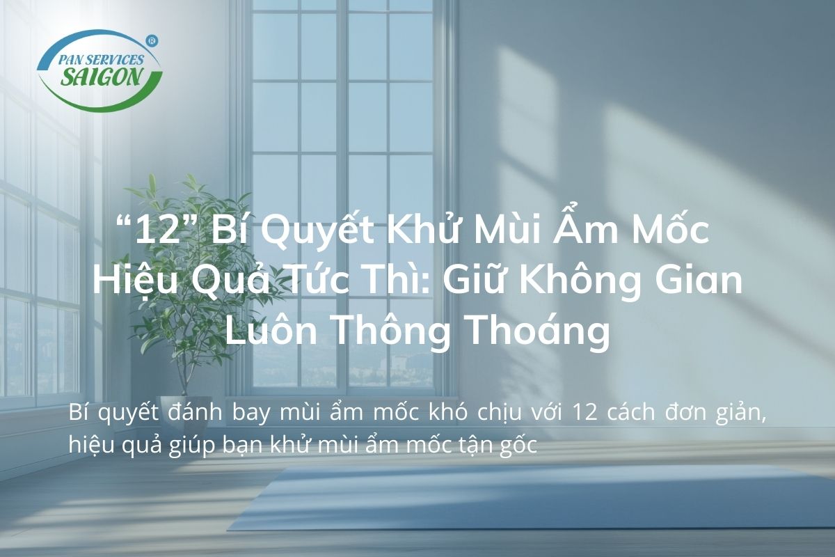 “12” Bí Quyết Khử Mùi Ẩm Mốc Hiệu Quả Tức Thì: Giữ Không Gian Luôn Thông Thoáng