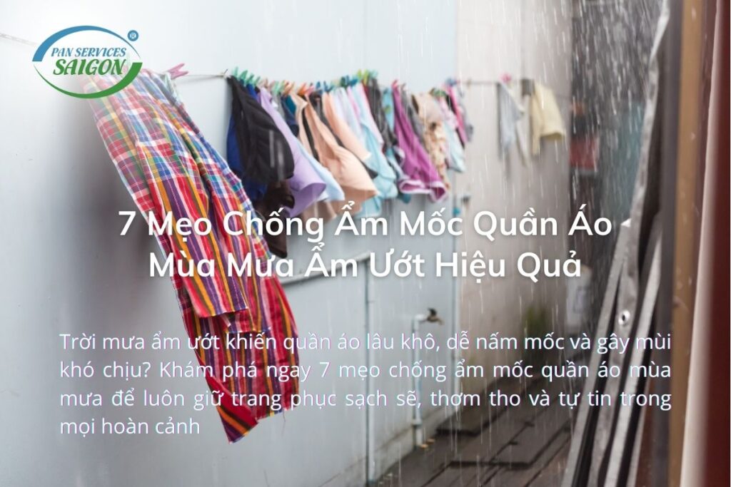 7 Mẹo Chống Ẩm Mốc Quần Áo Mùa Mưa Ẩm Ướt Hiệu Quả